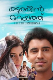 Thattathin Marayathu 2012 one on netflix