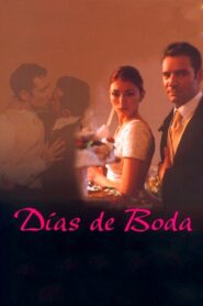 Días de voda 2002 one on netflix