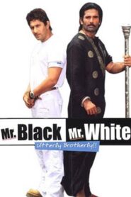 Mr. Black Mr. White 2008 one on netflix
