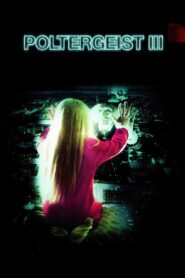 Poltergeist III 1988 one on netflix