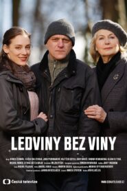 Ledviny bez viny 2022 one on netflix