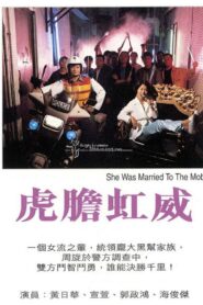 虎胆虹威 1995 one on netflix