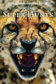 Super Hunts, Super Hunters 1995 one on netflix