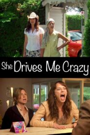 She Drives Me Crazy 2007 one on netflix