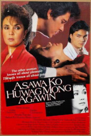Asawa Ko Huwag Mong Agawin 1987 one on netflix