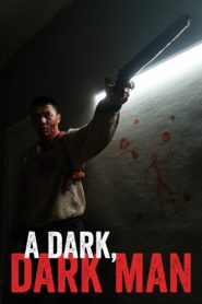 A Dark, Dark Man 2020 one on netflix