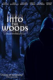 Into the Woods 2006 one on netflix