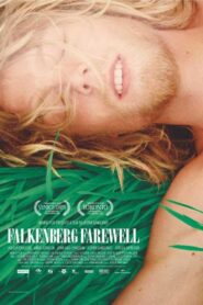 Falkenberg Farewell 2006 one on netflix
