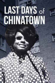 Last Days of Chinatown 2017 one on netflix