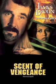 El Aroma del Copal 1997 one on netflix