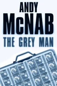 The Grey Man 2007 one on netflix