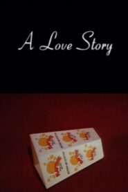 A Love Story 1996 one on netflix