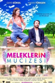 Meleklerin Mucizesi 2014 one on netflix