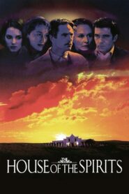 The House of the Spirits 1993 one on netflix