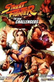 Street Fighter: The New Challengers 2011 one on netflix