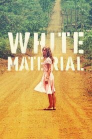 White Material 2010 one on netflix