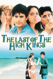 The Last of the High Kings 1996 one on netflix