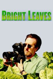 Bright Leaves 2004 one on netflix