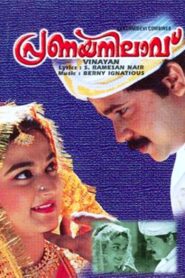 Pranaya Nilavu 1999 one on netflix