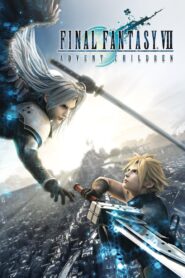 Final Fantasy VII: Advent Children 2005 one on netflix