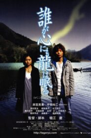 Taga kokoro nimo ryu wa nemuru 2005 one on netflix
