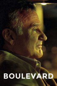 Boulevard 2014 one on netflix