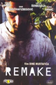 Remake 2003 one on netflix