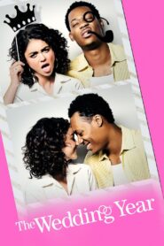 The Wedding Year 2019 one on netflix