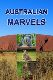 Australian Marvels 2016 one on netflix