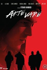 Flow 2014 one on netflix