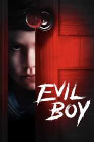 Stray 2019 one on netflix
