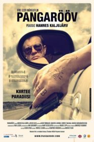 Bank Robbery 2009 one on netflix