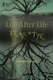 Life After Life 2017 one on netflix