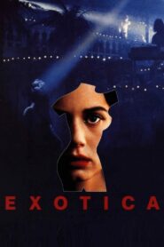 Exotica 1994 one on netflix