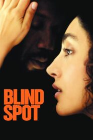 Blind Spot 2019 one on netflix