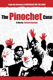 The Pinochet Case 2001 one on netflix
