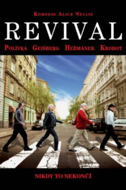 Revival 2013 one on netflix