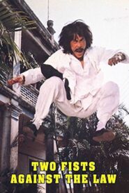 Two Fists Against the Law 1980 one on netflix