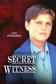 Secret Witness 1988 one on netflix