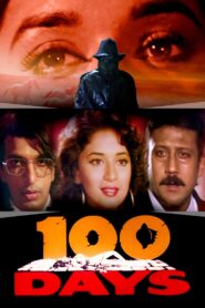 100 Days 1991 one on netflix