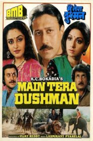Main Tera Dushman 1989 one on netflix