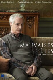 Les mauvaises têtes 2013 one on netflix