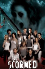 The Scorned 2005 one on netflix