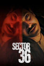 Sector 36 2024 one on netflix