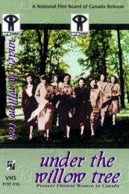 Under the Willow Tree: Pioneer Chinese Women in Canada 1997 one on netflix