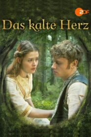 Heart of Stone 2014 one on netflix