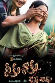 Neeku Naaku Dash Dash 2012 one on netflix