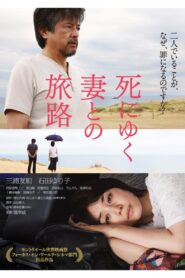 Journey of a Dying Wife 2011 one on netflix
