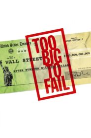 Too Big to Fail 2011 one on netflix