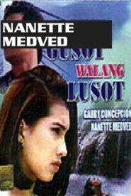 Kapag May Gusot… Walang Lusot 1993 one on netflix